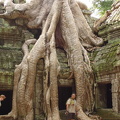 Cambodge 2006 152
