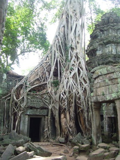 Cambodge 2006 156