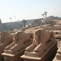 Egypte 090