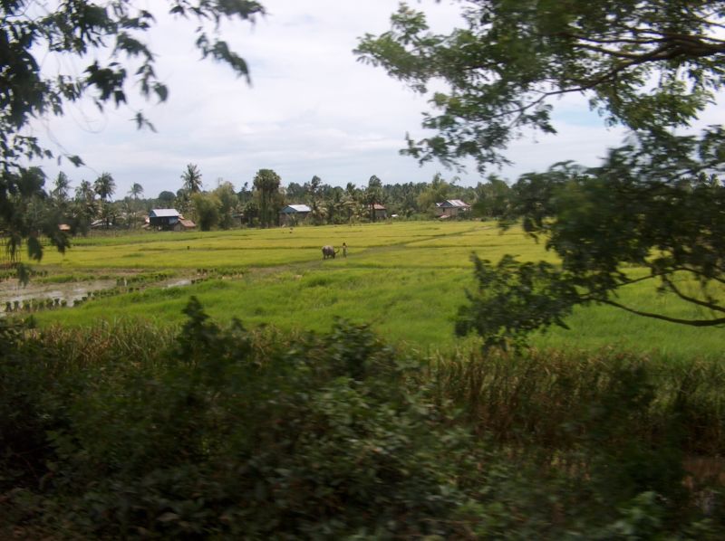 Cambodge 2006 030